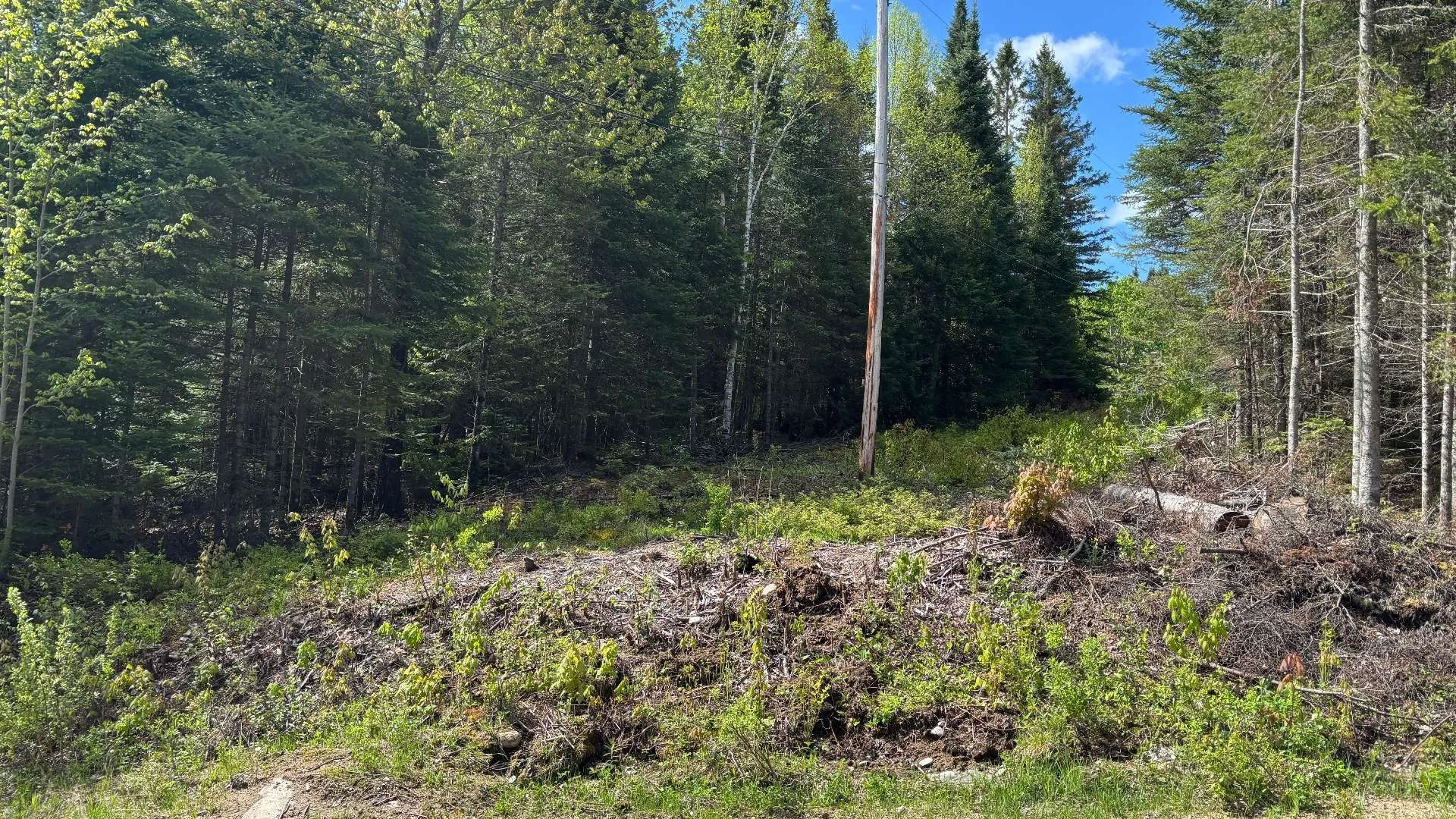 Land/Lot, Saint-Côme — 2