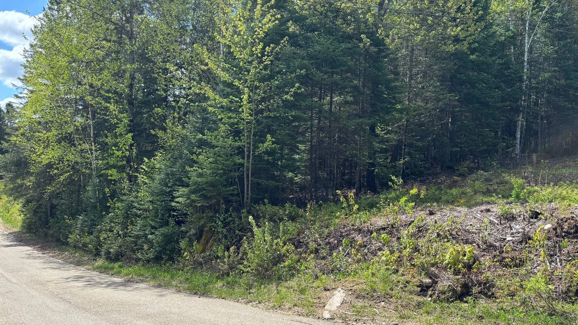 Land/Lot, Saint-Côme — 4